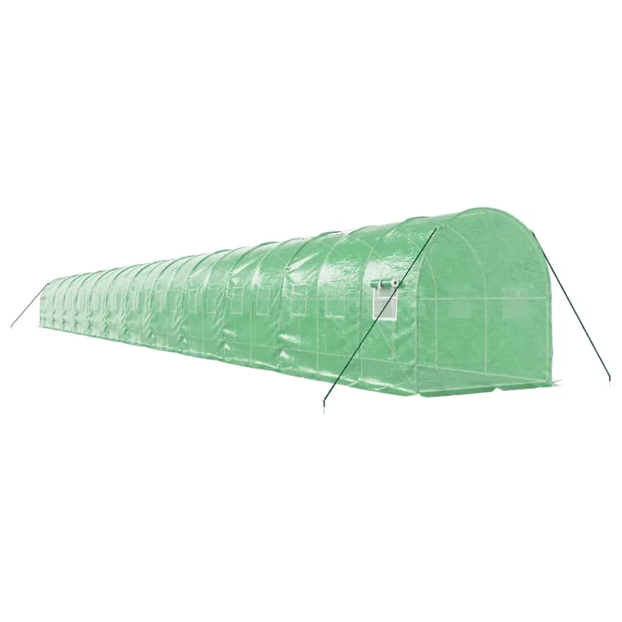Serre avec cadre en acier vert 48 m² 24x2x2 m - 3