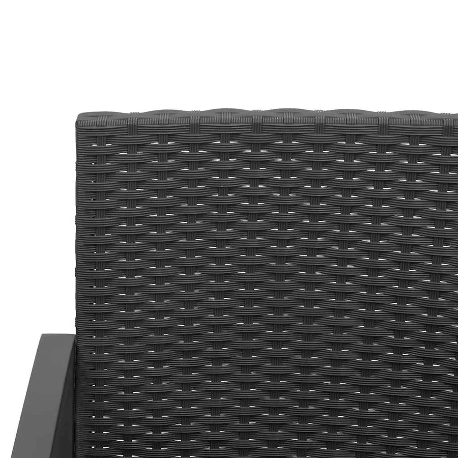 Banc de jardin à 2 places avec coussins noir rotin PP - 6