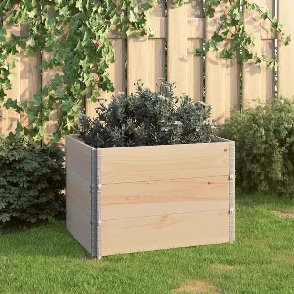 Jardinières surélevées 3 pcs 60x80 cm Bois de pin solide