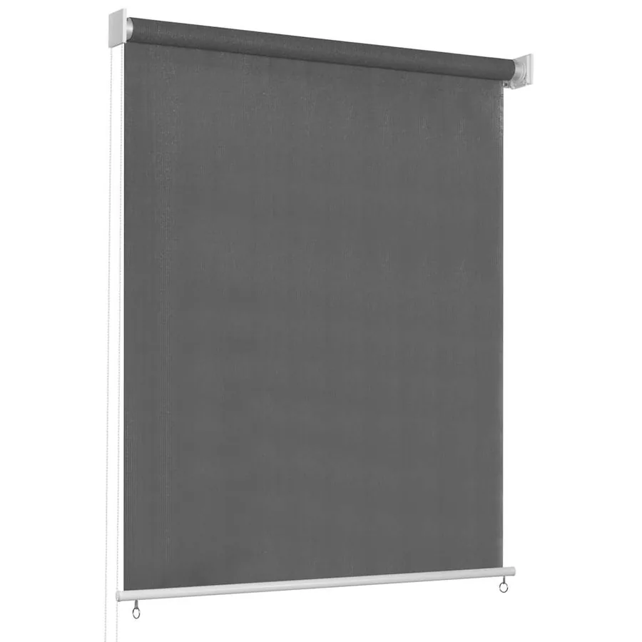 Store roulant d'extérieur 65 (l) x 230 (H) cm anthracite