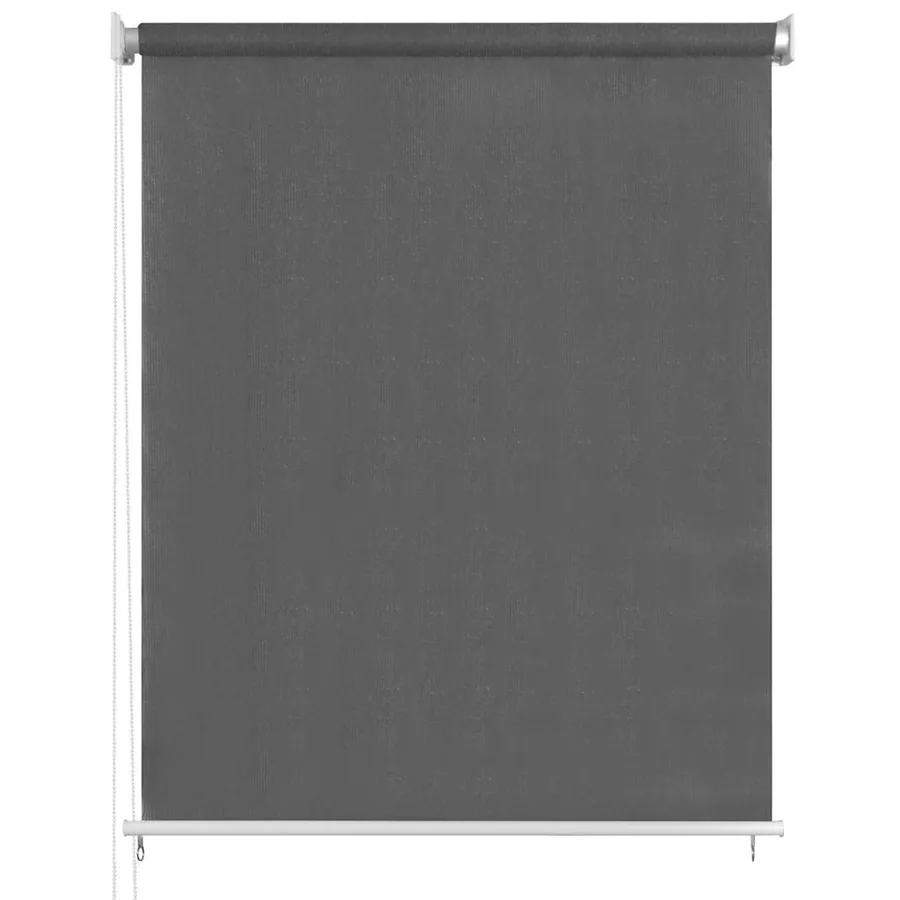 Store roulant d'extérieur 65 (l) x 230 (H) cm anthracite - 2