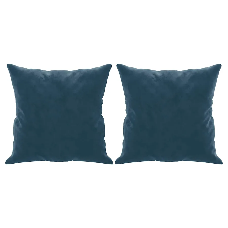 Coussins décoratifs lot de 2 Bleu 40x40 cm Velours - 2