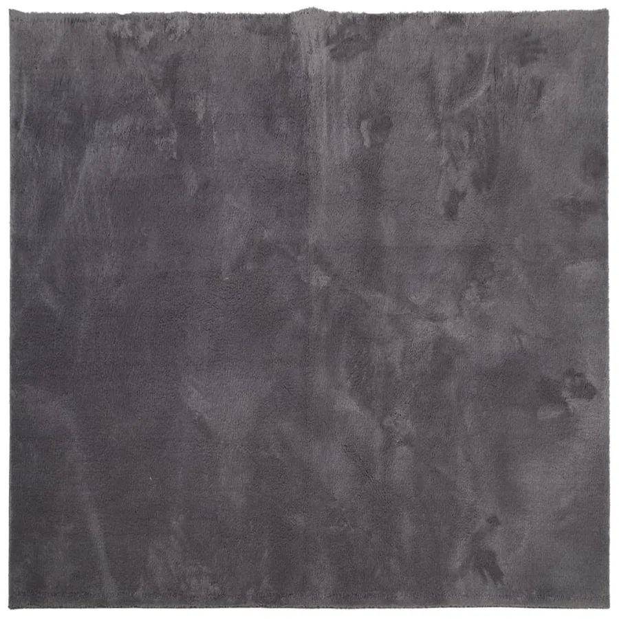 Tapis HUARTE à poils courts doux lavable anthracite 160x160 cm - 2