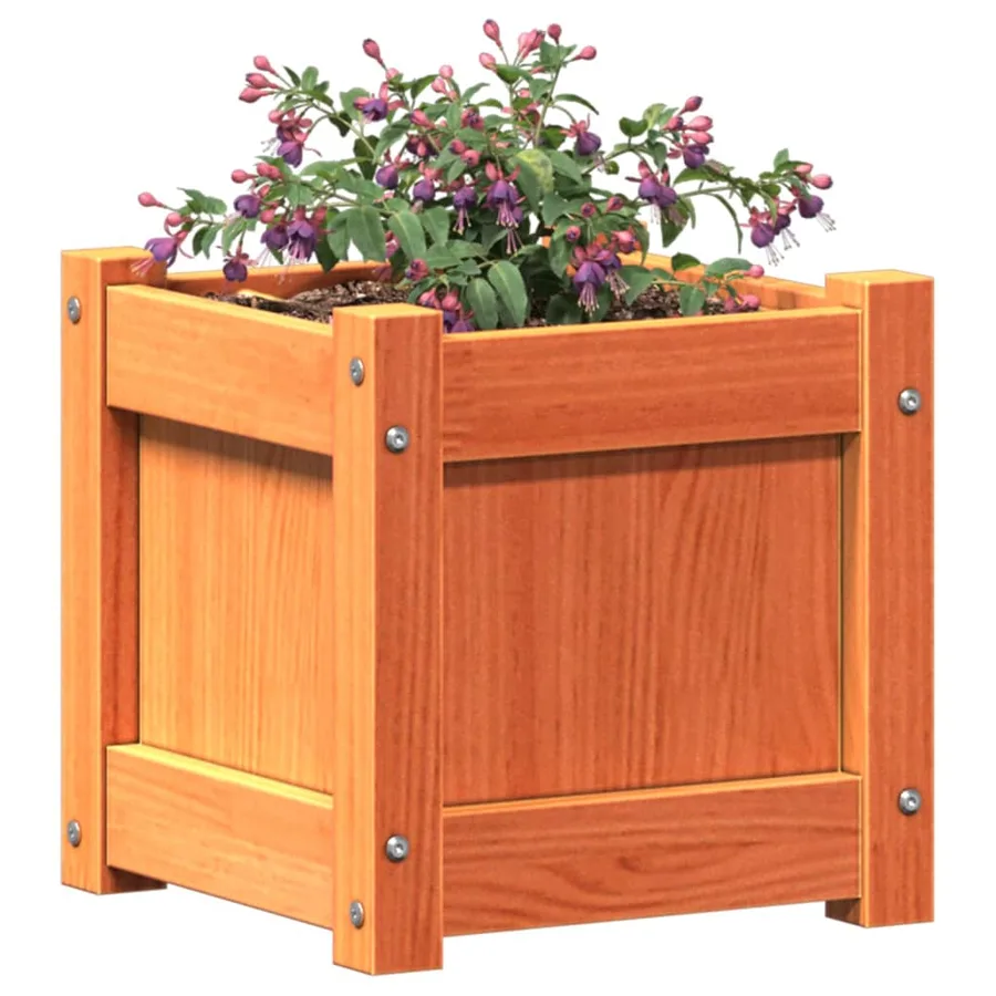 Jardinières 2 pcs cire marron bois de pin massif - 4