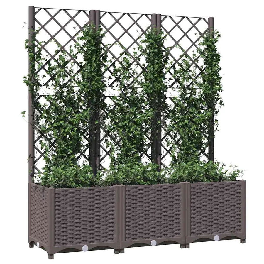 Jardinière avec treillis Marron 120 x 40 x 136 cm PP - 3