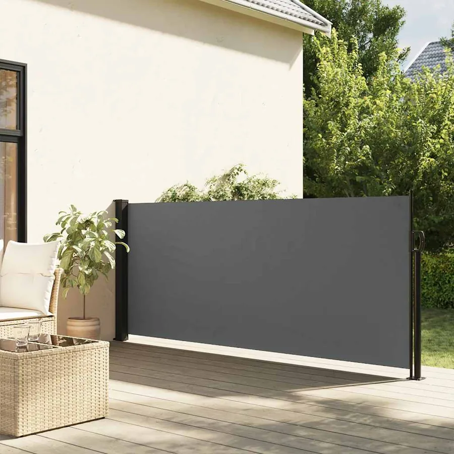 Store latéral rétractable Anthracite 100x300 cm